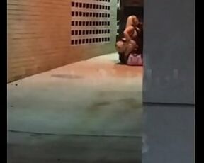 Hooker Sucking Dick In An Alley