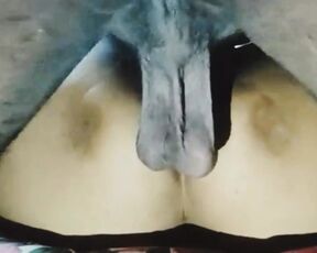 Bhaiya Ne Kiya Choda Desi Indian Closeup Fucking