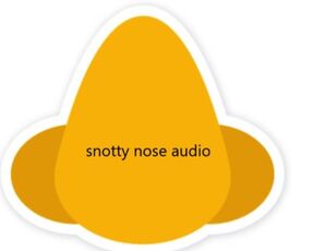 snotty nose audio